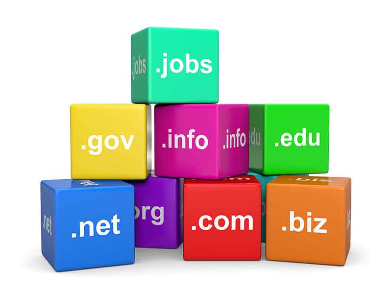 Domain Registration Services